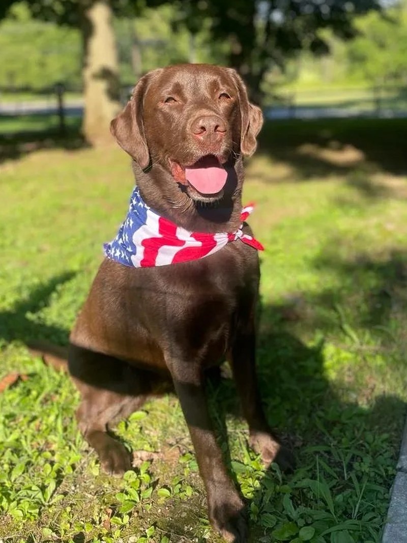 Holly, Chief Optimism Officer